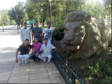 la nous a ifran acot� de le lion